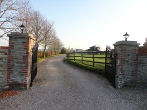 DSC00934.JPG Gate Entrance